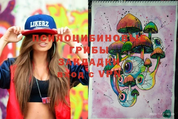 ешки Бородино