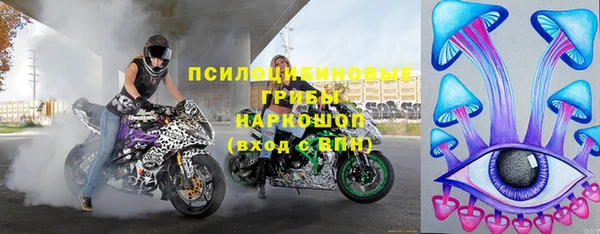 прущие грибы Верхнеуральск