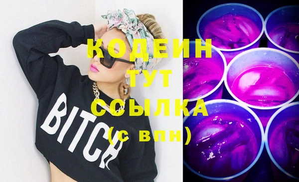 ешки Бородино