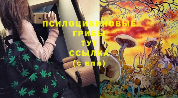 винт Бугульма