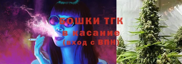 прущие грибы Верхнеуральск